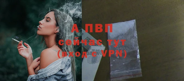 Альфа ПВП Белокуриха