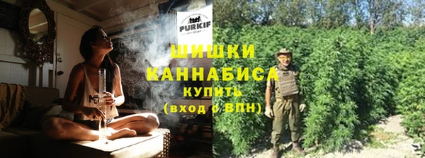 Альфа ПВП Белокуриха
