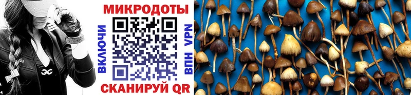 Галлюциногенные грибы ЛСД  Купить закладки  Олёкминск 